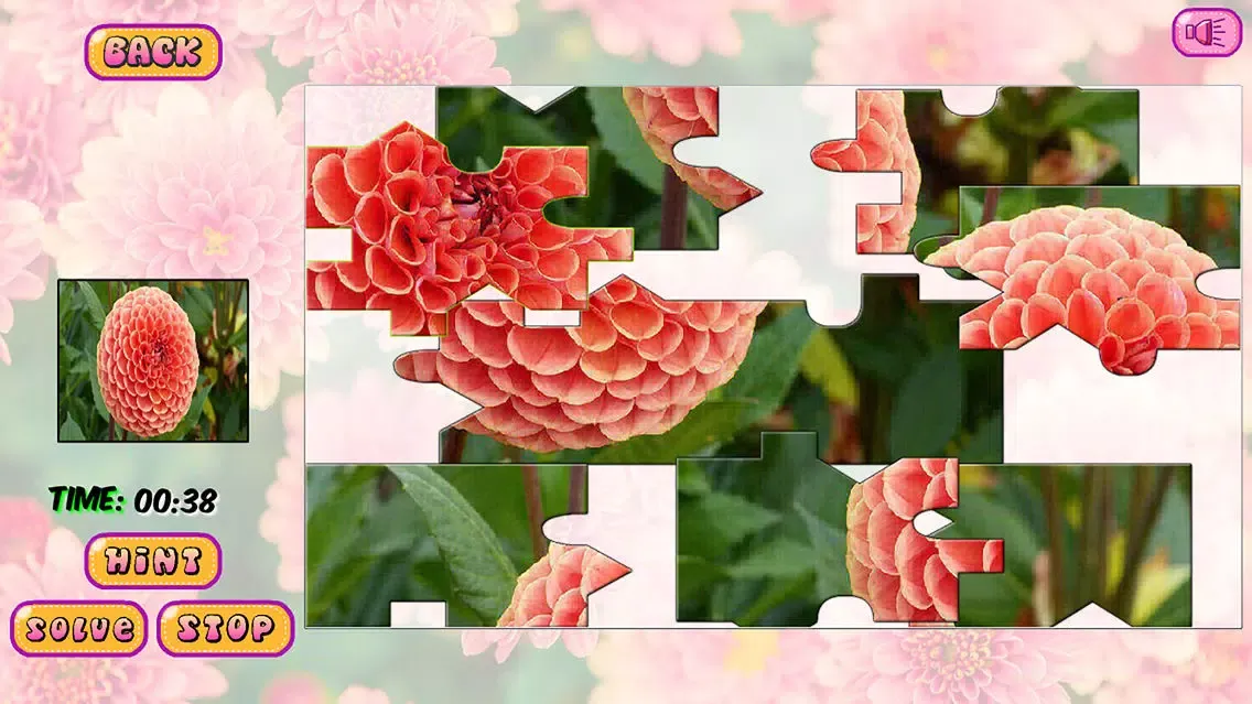 Puzzles of Flowers应用截图