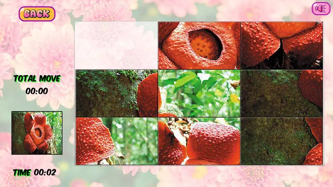 Puzzles of Flowers应用截图