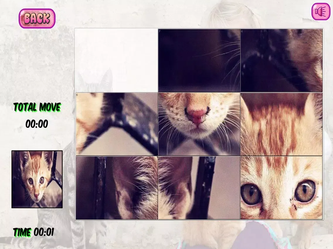 Captures d'écran de Puzzles of Kittens iPad 