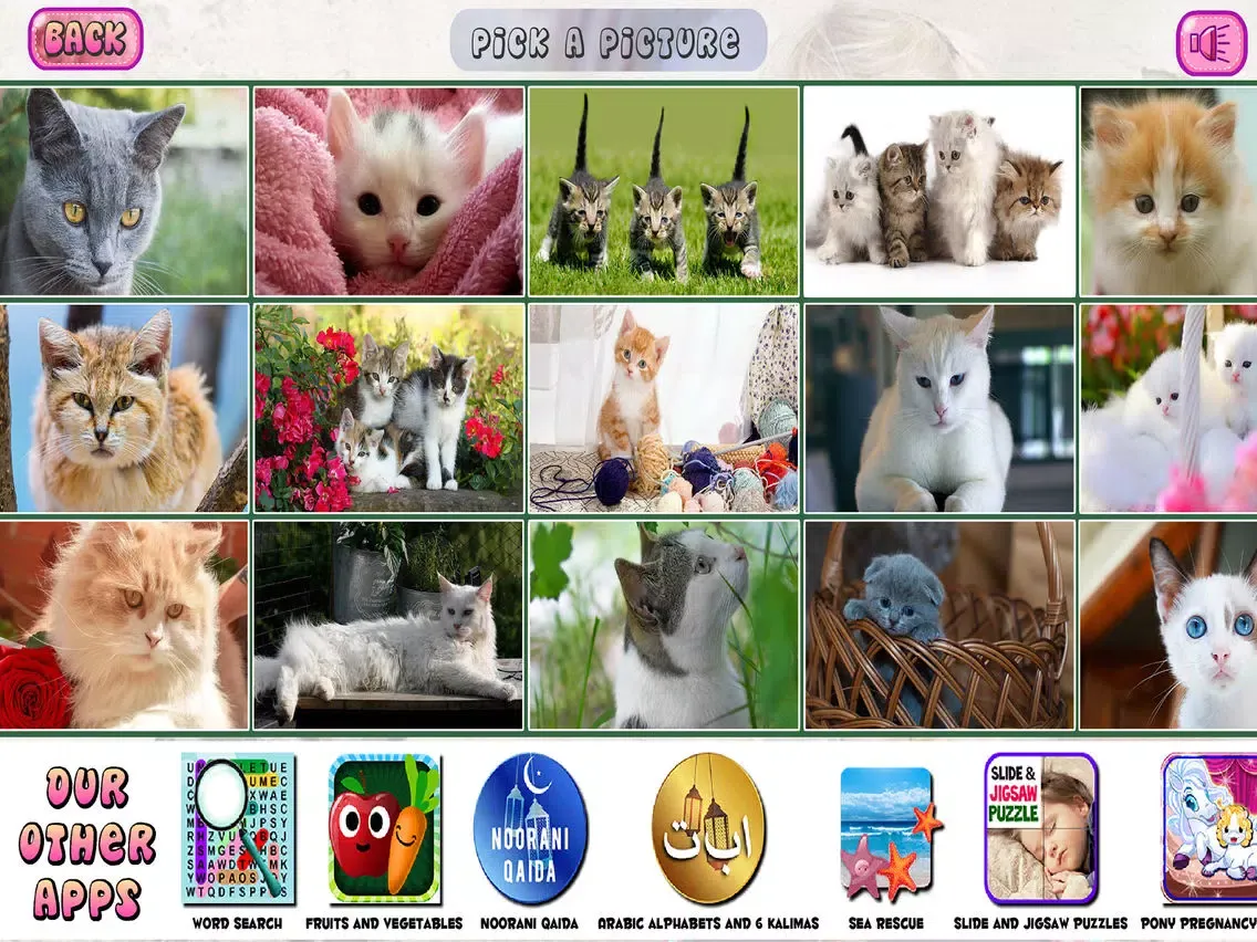 Screenshot di Puzzles of Kittens Free iPad 
