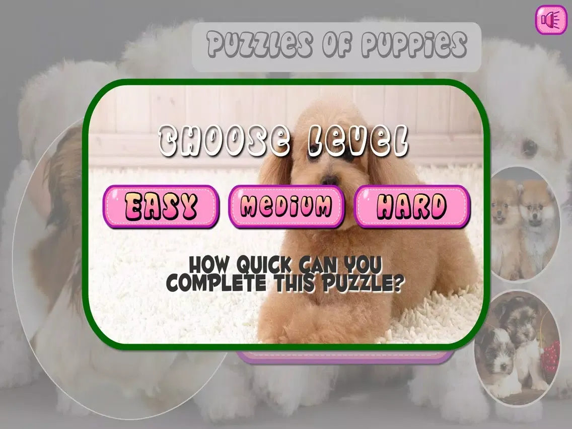 صور Puzzles of Puppies iPad 