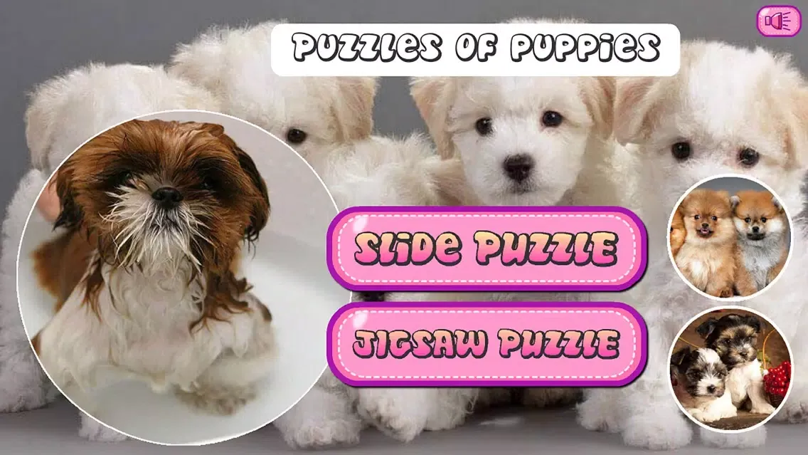 صور Puzzles of Puppies