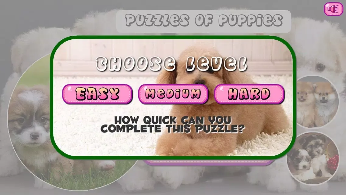 صور Puzzles of Puppies