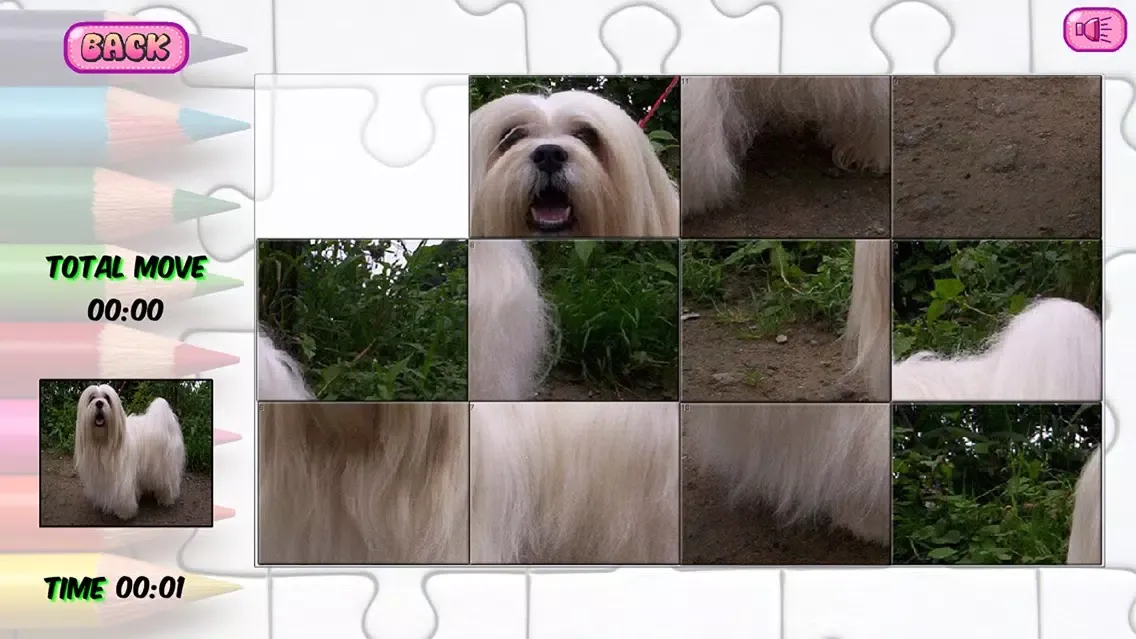 صور Puzzles of Puppies
