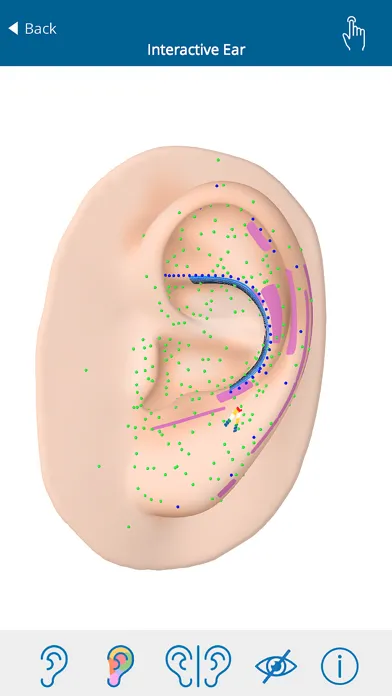 Auriculo 360 - The Living Ear स्क्रीनशॉट
