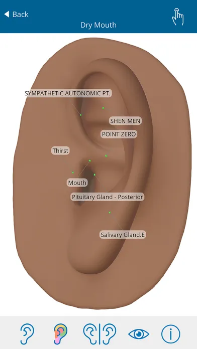 Auriculo 360 - The Living Ear स्क्रीनशॉट