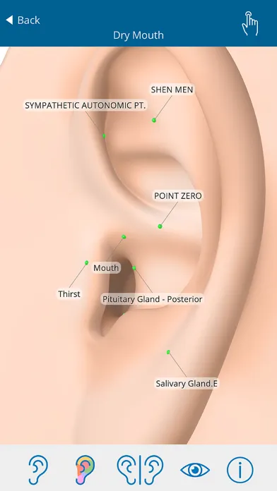 Auriculo 360 - The Living Ear स्क्रीनशॉट