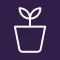 Plant Diary