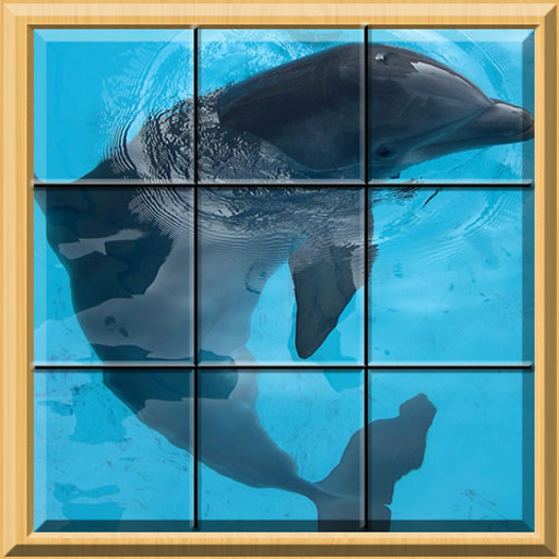 Puzzle Me