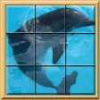 Puzzle Me