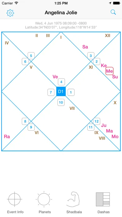 Jyotish Dashboard™ Preview应用截图