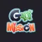 GoMission TX