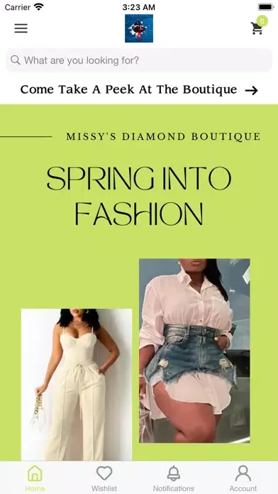 Скриншоты Missy's Diamond Boutique