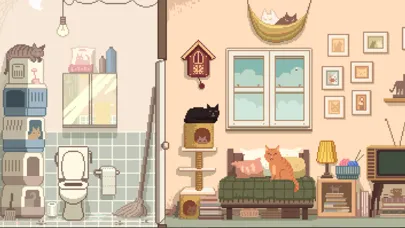 تصاویر Solution: Six Cats