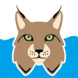 WashLynx