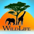 Wild Life io (opoly)