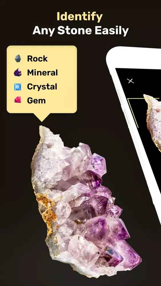 Rock Identifier + Screenshots