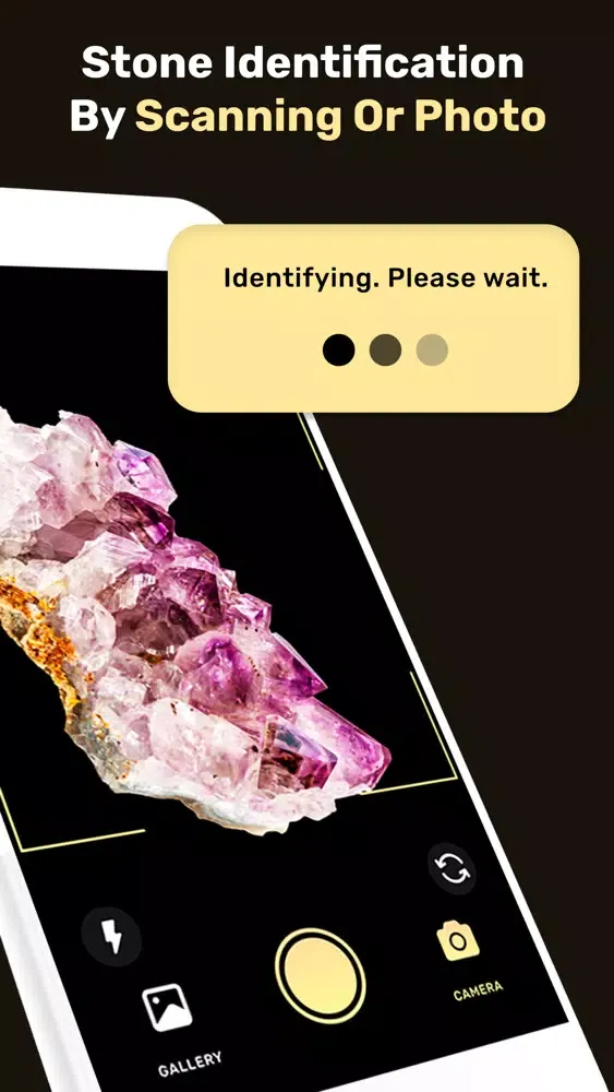 Rock Identifier + Screenshots