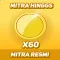 Mitra Higgs