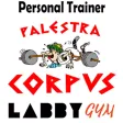 Corpus PT LabbyGym Corpus PT LabbyGym