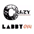 Crazy LabbyGym