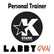Stark PT LabbyGym
