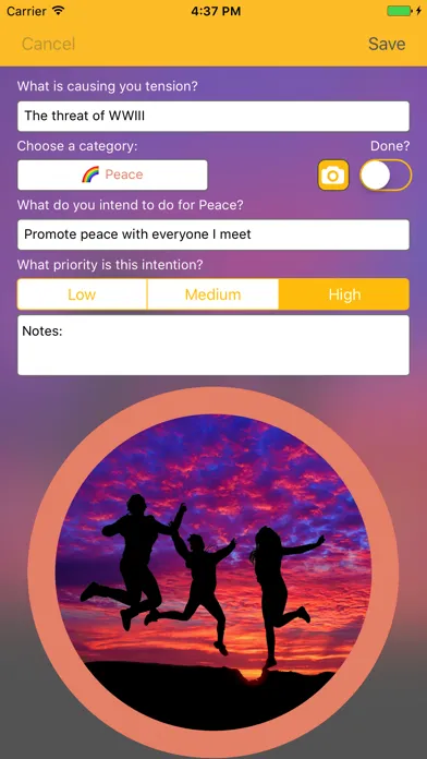 Ảnh chụp màn hình của Miwaresoft Intentions 2