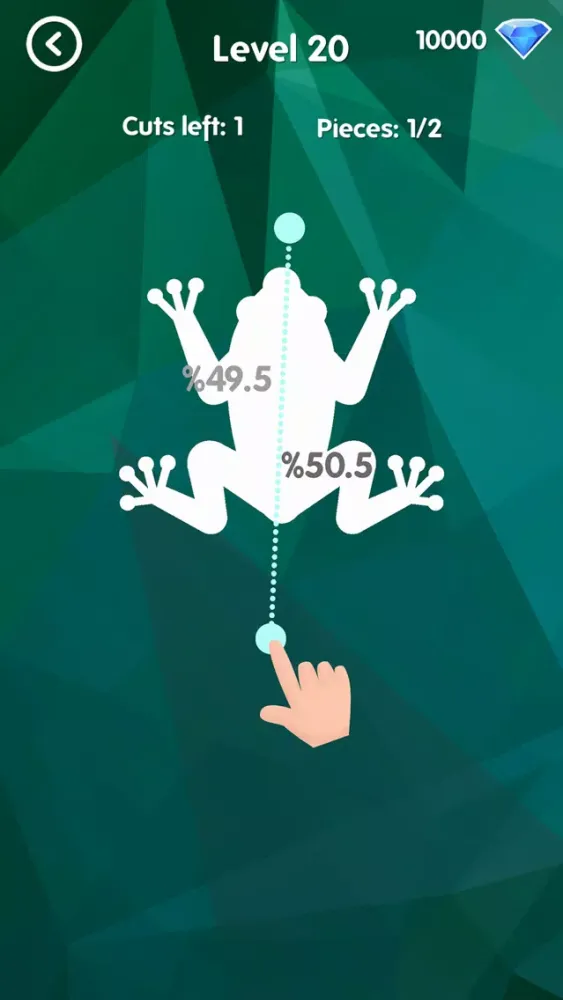 50 50: Addictive Shape Cutting سکرین شاٹس