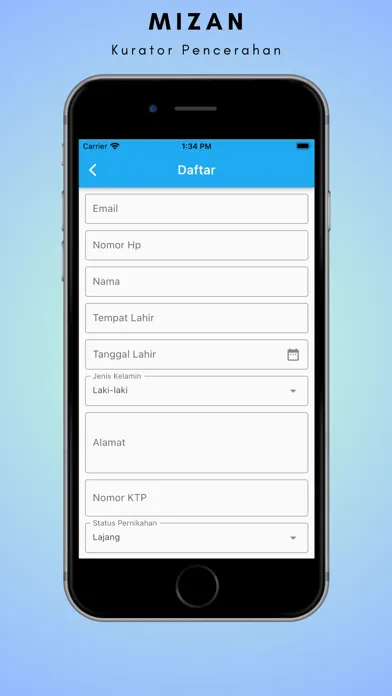 Mizan LISA Screenshots