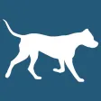 Dog Facts Texts