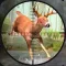 Wild Deer Hunt: Hunting Games