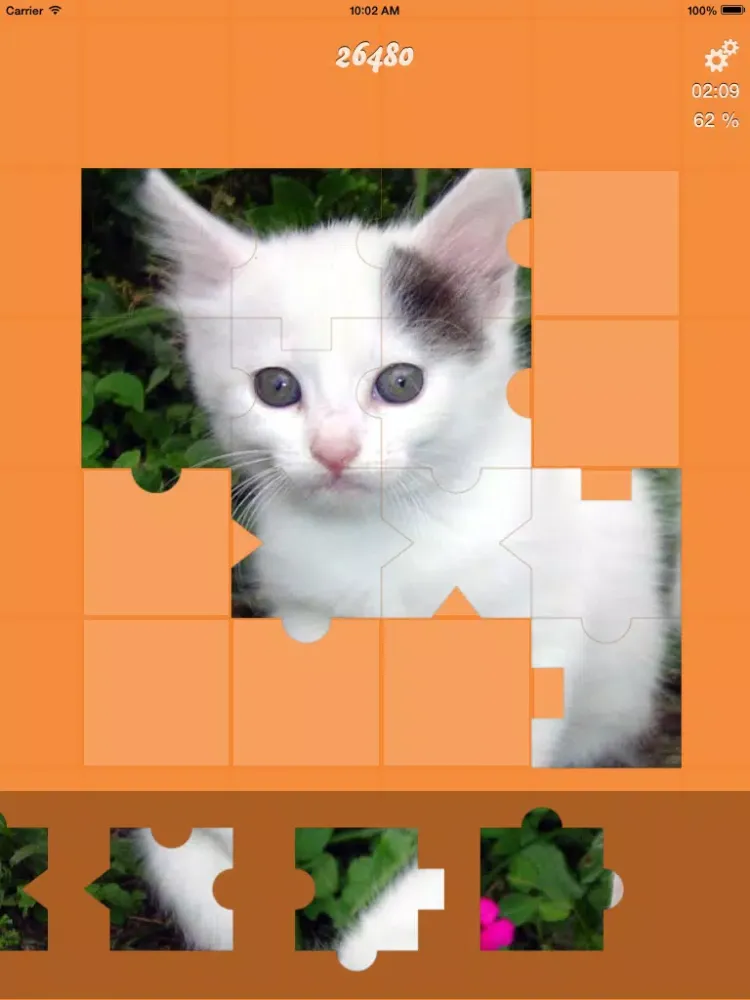 Jigsaw Puzzle: Cat and Dog iPad 应用截图