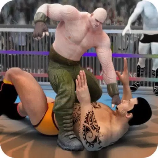 Real Wrestling Fighting Games