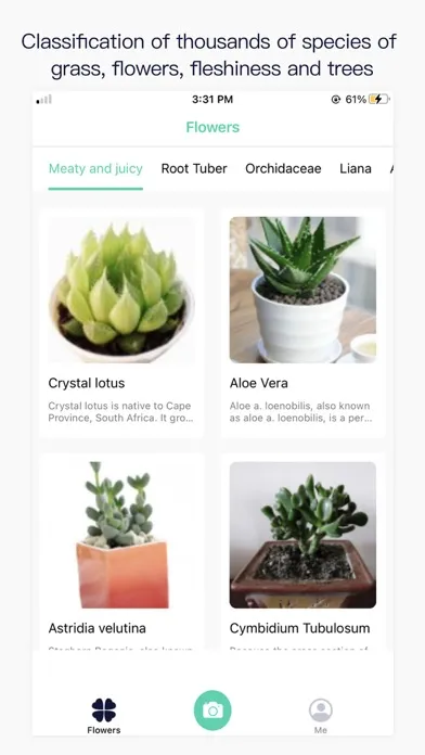 Photo Plant Identification Screenshots