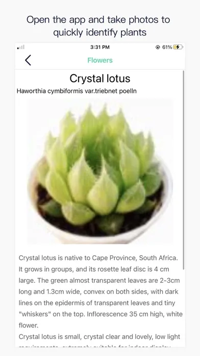 Photo Plant Identification Screenshots
