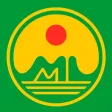 Mai Linh Logistics
