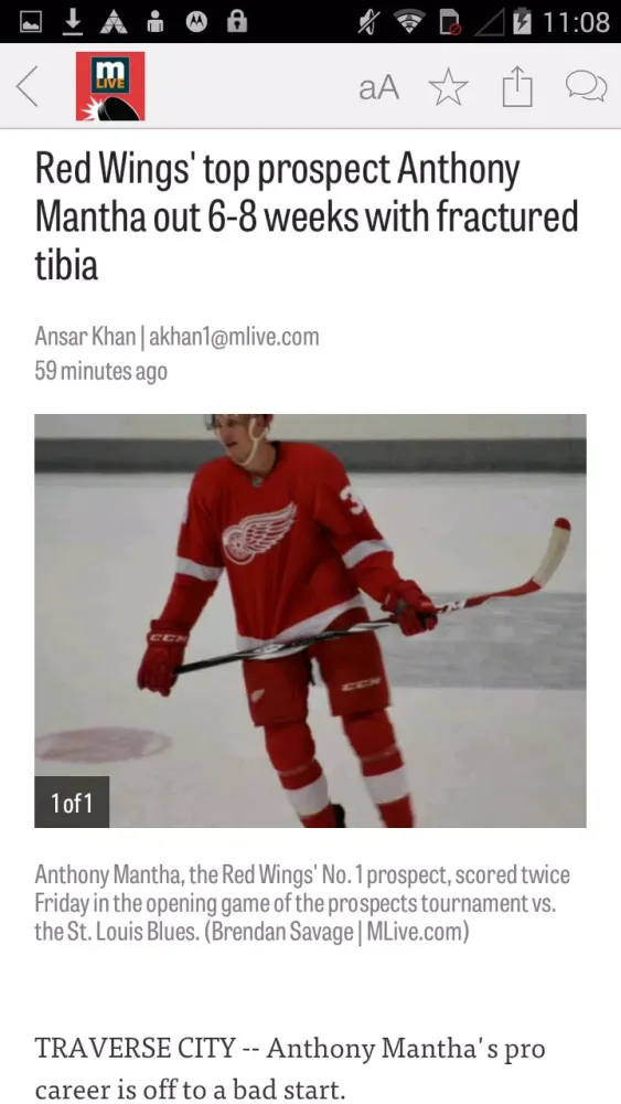 تصاویر MLive.com: Red Wings News