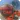 Smash Car