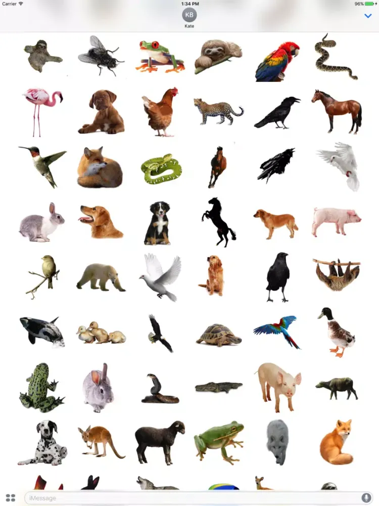 Real Animals Stickers Pack iPad  Ekran Görüntüleri