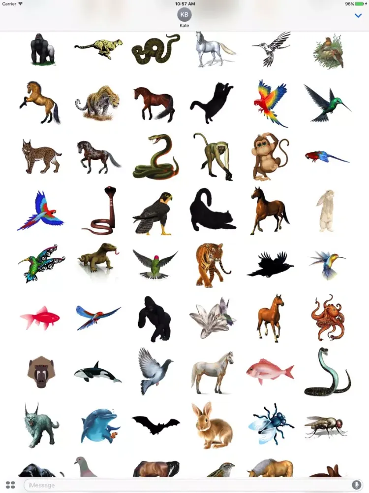 Zrzuty ekranu Cartoon Animals Box iPad 