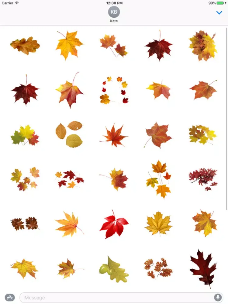 Autumn Leaves Stickers iPad  سکرین شاٹس