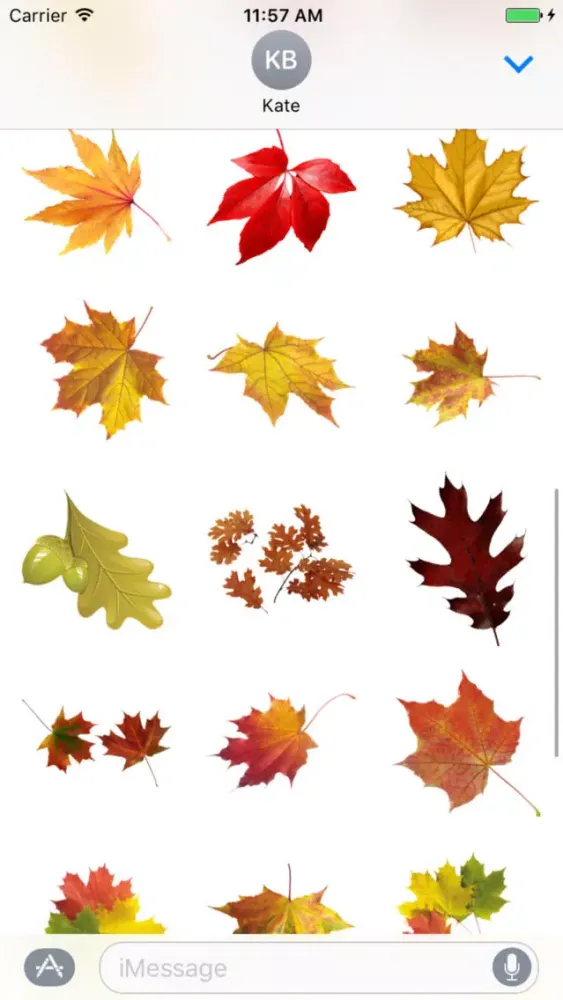 Autumn Leaves Stickers سکرین شاٹس