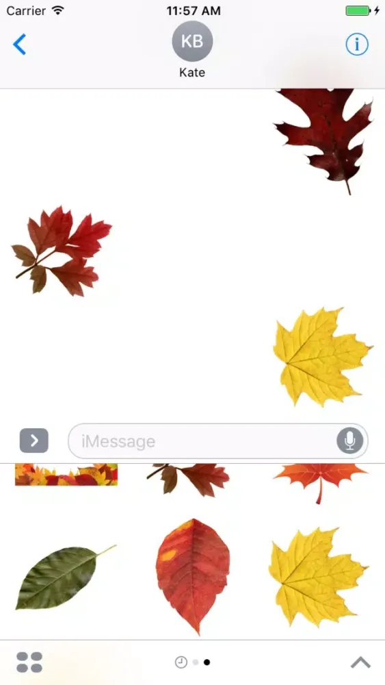 Autumn Leaves Stickers سکرین شاٹس