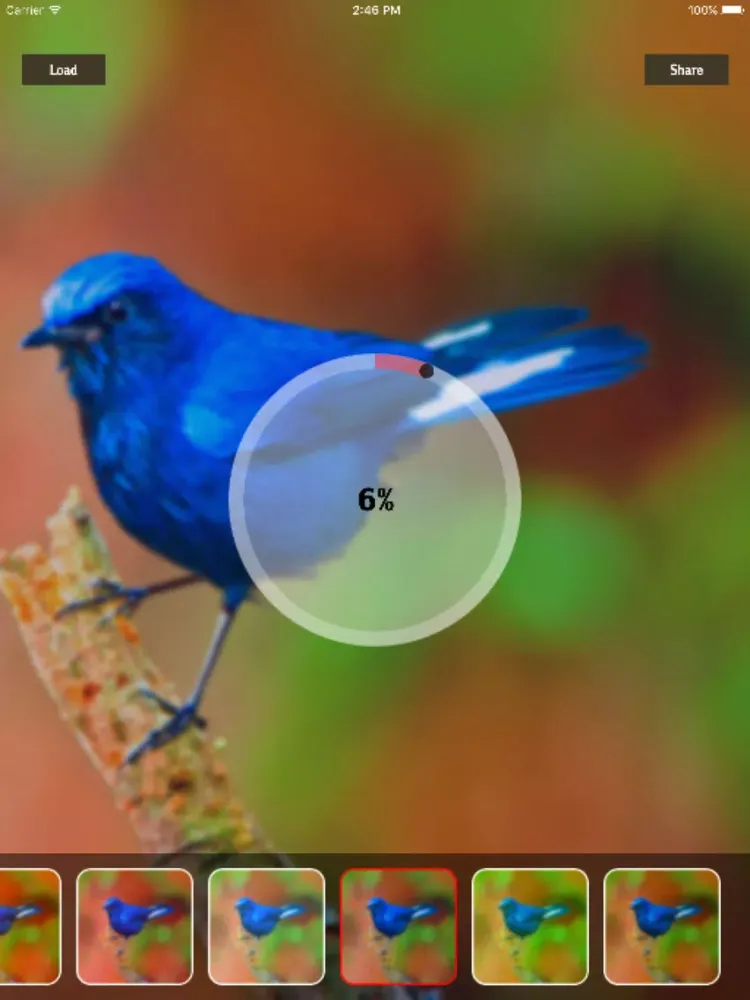 Capturas de tela do LightX Blur iPad 