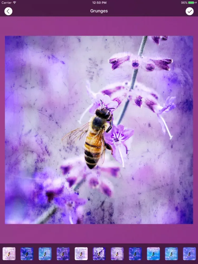 Zrzuty ekranu PhotoGenie Editor iPad 