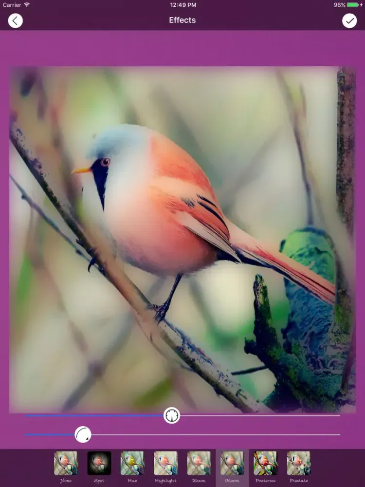 Zrzuty ekranu PhotoGenie Editor iPad 