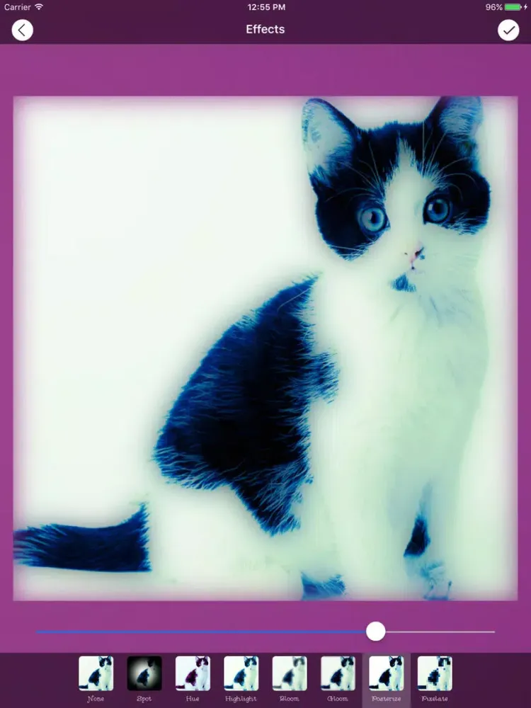 Zrzuty ekranu PhotoGenie Editor iPad 