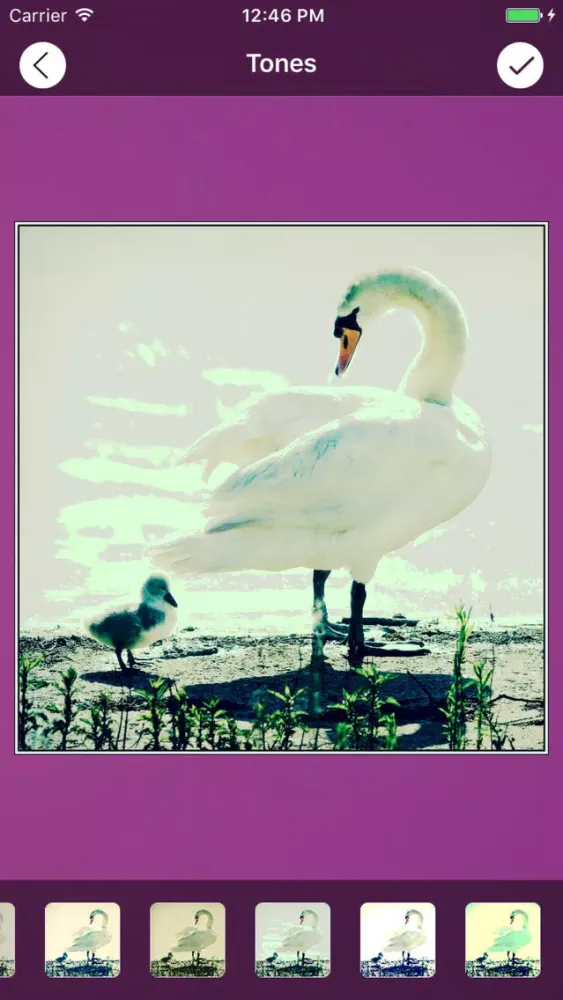 Zrzuty ekranu PhotoGenie Editor