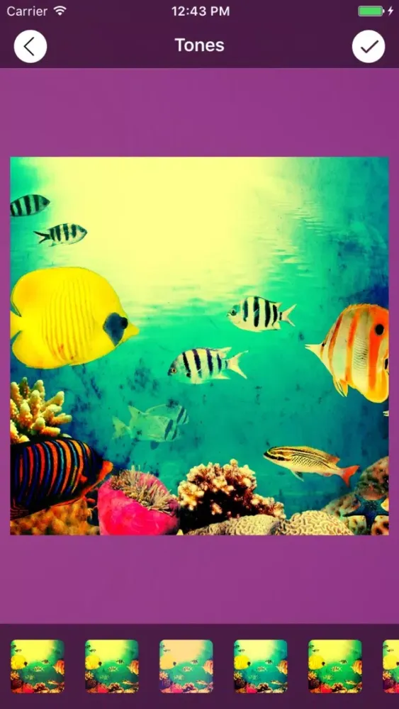 Zrzuty ekranu PhotoGenie Editor