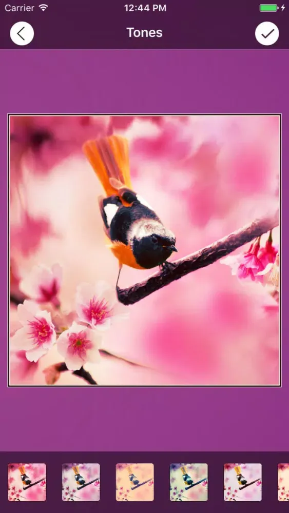 Zrzuty ekranu PhotoGenie Editor